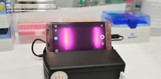 조류인플루엔자 진단 키트 개발