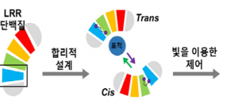 빛으로 켰다 껐다하는 단백질 개발