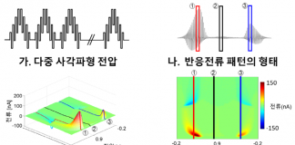 실시간 뇌 속 도파민 농도 측정기술 개발