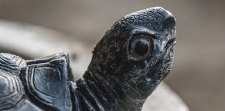 컴퓨터 작업과 거북목증후군