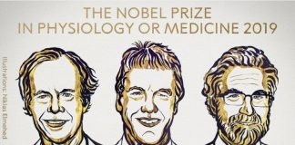노벨 생리의학상, ‘세포 산소 가용성 감지적응’ 규명한 3명 공동 수상