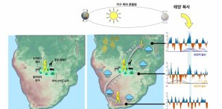 현생인류 아프리카 칼라하리서 첫 출현