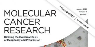 암세포, ‘정상 세포’로 되돌리는 초기 원천기술 개발